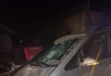 Femeia accidentată grav de un șofer bulgar la Maglavit a murit